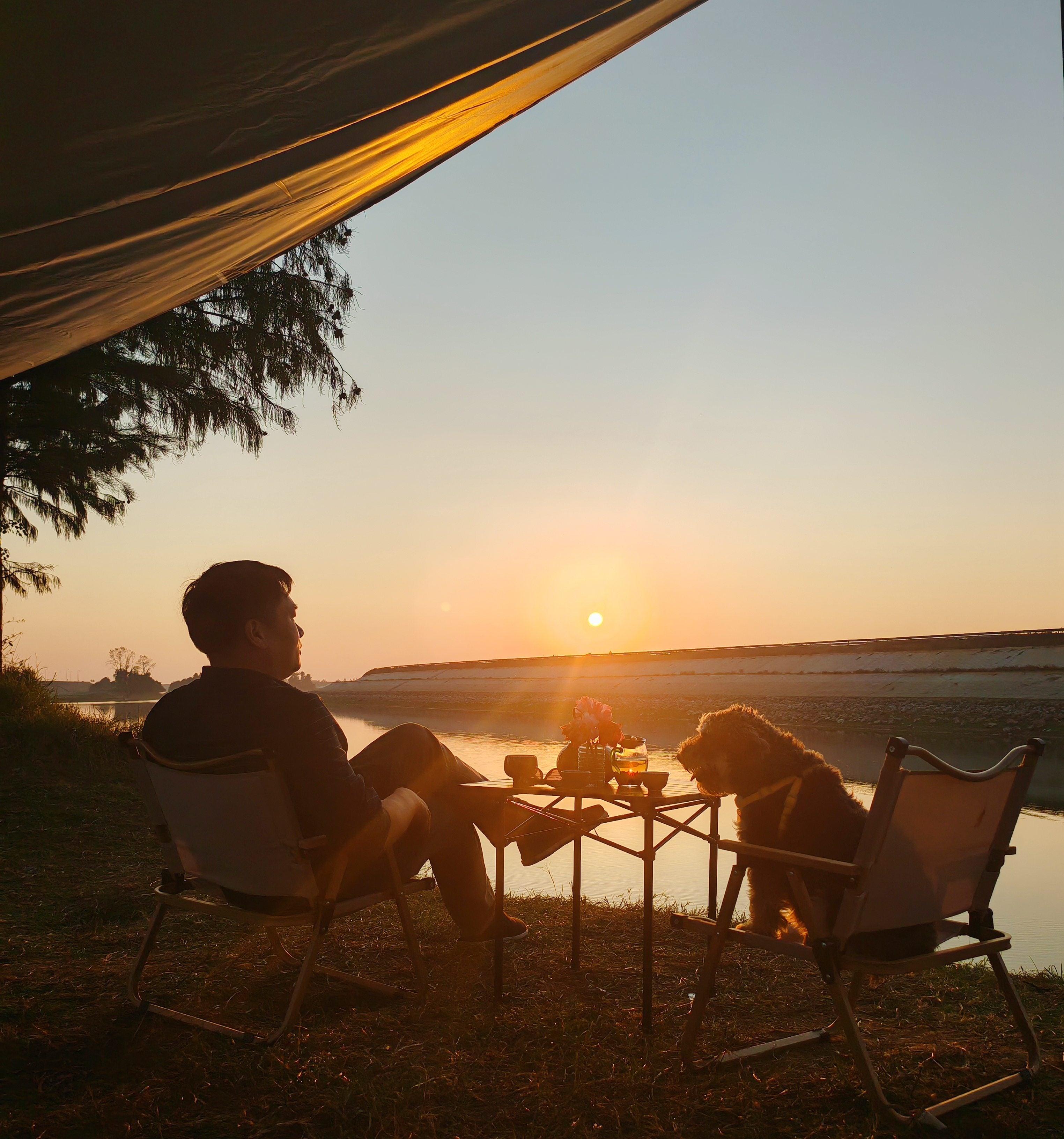 Because happiness is btter when it's shared with Paws and hearts