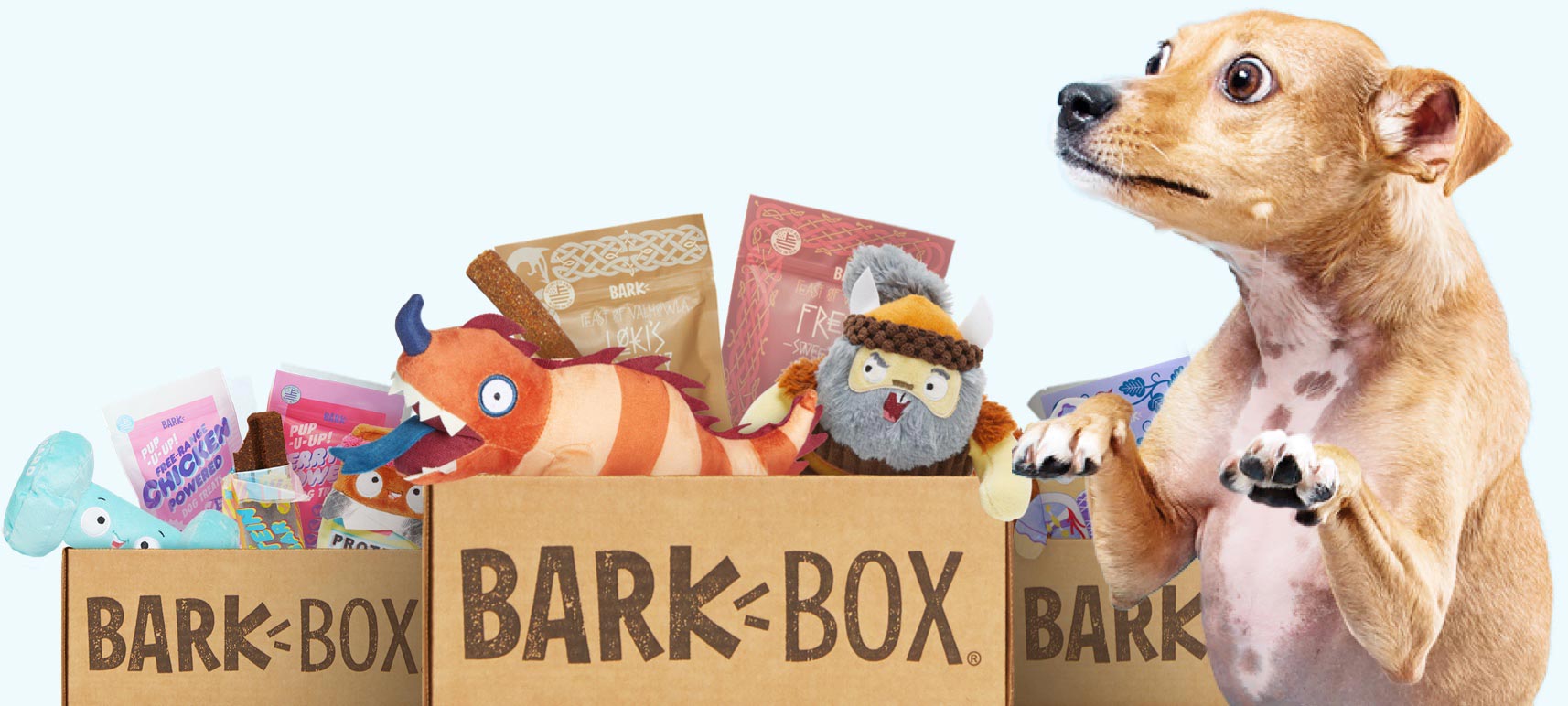 BarkBox — The mainstream all-rounder (best for variety & themed fun)